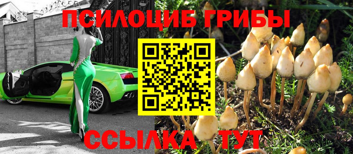 Галлюциногенные грибы ЛСД  купить наркоту  Волгоград  Вход с VPN 